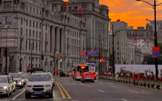 爱上海爱北京网站：双城生活的数字革命